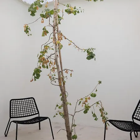 Architectural Gem In Santa Catarina Apartment *