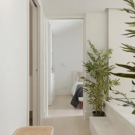 Architectural Gem In Santa Catarina *