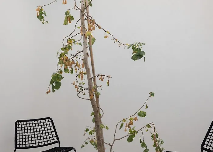 Architectural Gem In Santa Catarina شقة *