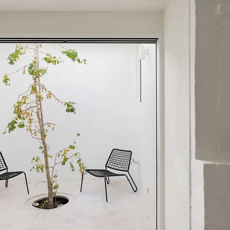 Architectural Gem In Santa Catarina * ליסבון